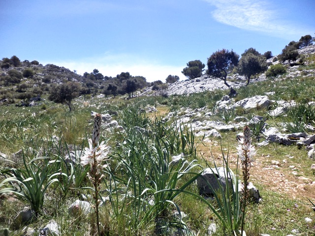 Camino to Villalengua de Rosário, where you sometimes have views of Africa. Photo © snobb.net